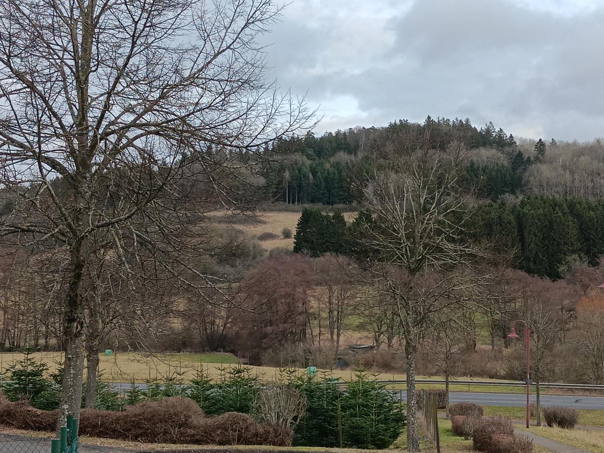 Ferienwohnung Schwarzenbergblick Kelberg Bagian luar foto